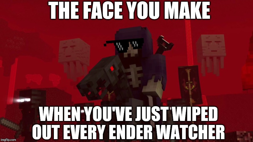 King Naeus | THE FACE YOU MAKE; WHEN YOU'VE JUST WIPED OUT EVERY ENDER WATCHER | image tagged in naeus,minecraft,rainimator,ender watchers | made w/ Imgflip meme maker