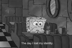 The day I lost my identity Blank Meme Template