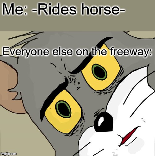 Unsettled Tom Meme | Me: -Rides horse-; Everyone else on the freeway: | image tagged in memes,unsettled tom | made w/ Imgflip meme maker