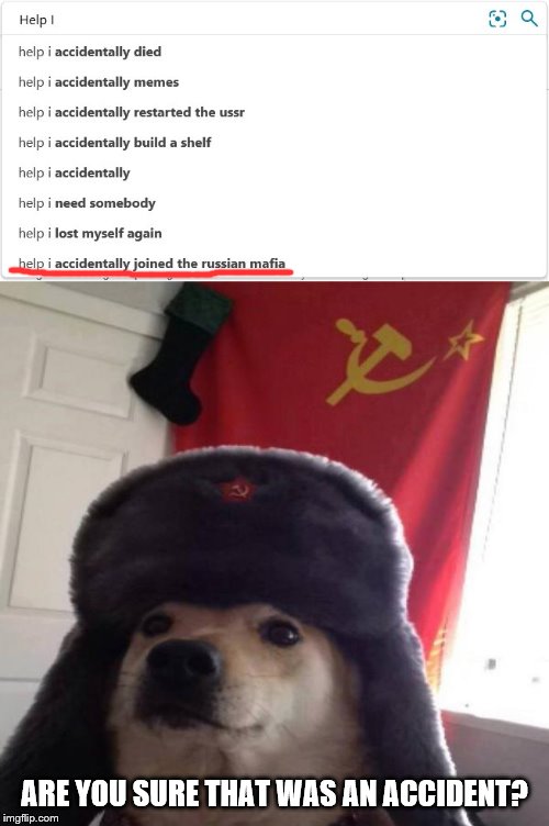 'Accidentally' | ARE YOU SURE THAT WAS AN ACCIDENT? | image tagged in russian doge | made w/ Imgflip meme maker