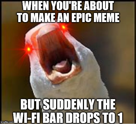 WHAT HAPPENED TO THE WI-FI | WHEN YOU'RE ABOUT TO MAKE AN EPIC MEME; BUT SUDDENLY THE WI-FI BAR DROPS TO 1 | image tagged in screaming duck,wifi,rage,epic fail,well shit,annoying | made w/ Imgflip meme maker