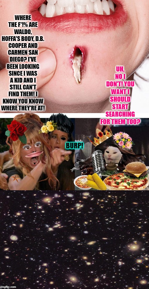 The Truth FINALLY Comes Out! (Innocent Cat) | WHERE THE F*!% ARE WALDO, HOFFA'S BODY, D.B. COOPER AND CARMEN SAN DIEGO? I'VE BEEN LOOKING SINCE I WAS A KID AND I STILL CAN'T FIND THEM! I KNOW YOU KNOW WHERE THEY'RE AT! UH, NO I DON'T! YOU WANT I SHOULD START SEARCHING FOR THEM TOO? BURP! | image tagged in the truth finally comes out innocent cat | made w/ Imgflip meme maker