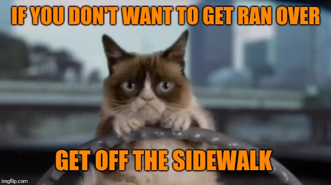 Get out of the way! | IF YOU DON'T WANT TO GET RAN OVER GET OFF THE SIDEWALK | image tagged in grumpy cat driving,44colt,grumpy cat,memes | made w/ Imgflip meme maker