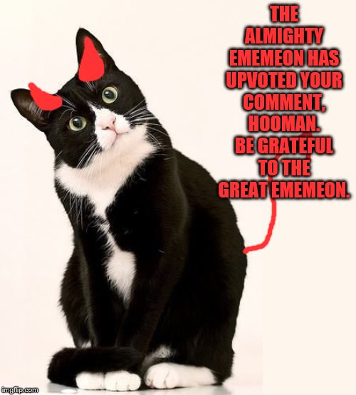 Tuxedo Cat | THE ALMIGHTY EMEMEON HAS UPVOTED YOUR COMMENT, HOOMAN. BE GRATEFUL TO THE GREAT EMEMEON. | image tagged in tuxedo cat | made w/ Imgflip meme maker