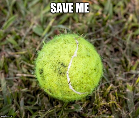 old tennis ball | SAVE ME | image tagged in old tennis ball | made w/ Imgflip meme maker