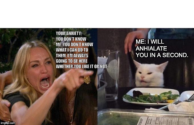 Woman Yelling At Cat Meme | YOUR ANXIETY: YOU DON'T KNOW ME. YOU DON'T KNOW WHAT I CAN DO TO THEM. I'M ALWAYS GOING TO BE HERE WHETHER YOU LIKE IT OR NOT. ME: I WILL ANHIALATE YOU IN A SECOND. | image tagged in memes,woman yelling at cat | made w/ Imgflip meme maker