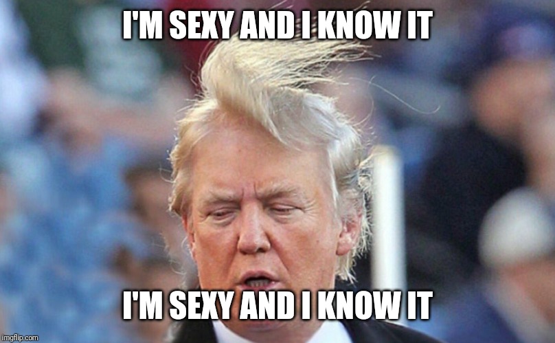 Sexy Trump | I'M SEXY AND I KNOW IT; I'M SEXY AND I KNOW IT | image tagged in donald trump,america | made w/ Imgflip meme maker