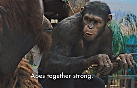 High Quality Apes strong together Blank Meme Template