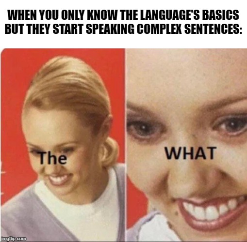 Excuse me, the what? | WHEN YOU ONLY KNOW THE LANGUAGE'S BASICS BUT THEY START SPEAKING COMPLEX SENTENCES: | image tagged in excuse me the what | made w/ Imgflip meme maker