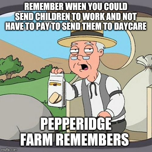 Pepperidge Farm Remembers Meme | REMEMBER WHEN YOU COULD SEND CHILDREN TO WORK AND NOT HAVE TO PAY TO SEND THEM TO DAYCARE; PEPPERIDGE FARM REMEMBERS | image tagged in memes,pepperidge farm remembers | made w/ Imgflip meme maker