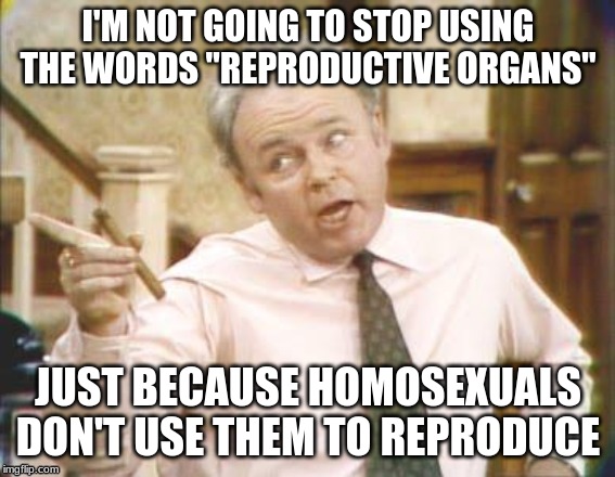 The words "reproductive organs" might be insensitive to homosexuals | I'M NOT GOING TO STOP USING THE WORDS "REPRODUCTIVE ORGANS"; JUST BECAUSE HOMOSEXUALS DON'T USE THEM TO REPRODUCE | image tagged in political correctness | made w/ Imgflip meme maker