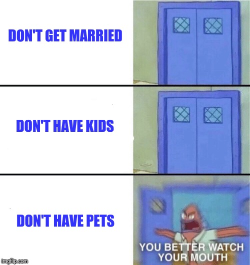 You better watch your mouth | DON'T GET MARRIED; DON'T HAVE KIDS; DON'T HAVE PETS | image tagged in you better watch your mouth | made w/ Imgflip meme maker