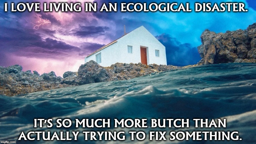 So what if people die from increasing heat, flooding, droughts, hurricanes and wildfires. We'll always have COVID-19. | image tagged in ecology,climate change,global warming,wildfire,drought,flooding | made w/ Imgflip meme maker