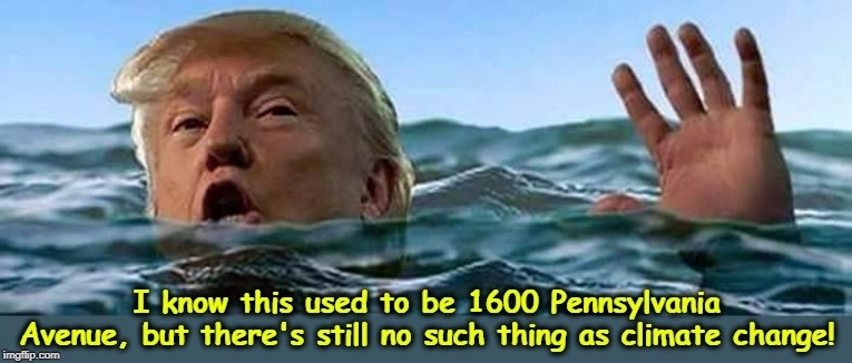 President-for-Life Trump refuses to admit that sea levels are rising. | image tagged in trump,climate change,global warming,denial,stupidity | made w/ Imgflip meme maker