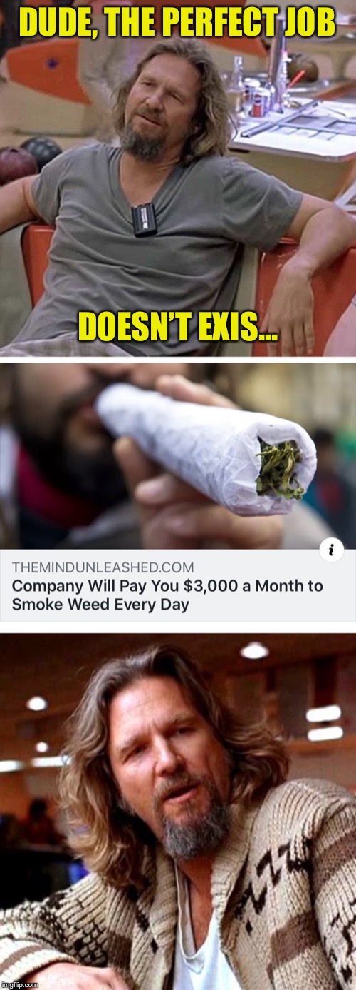 He stands cannabinoided | DUDE, THE PERFECT JOB; DOESN’T EXIS... | image tagged in the big lebowski,job,smoking weed,stoner,unemployment,funny memes | made w/ Imgflip meme maker