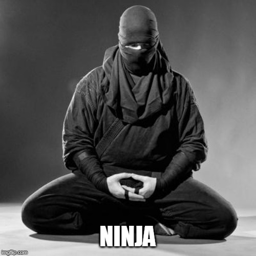 Ninja Zen | NINJA | image tagged in ninja zen | made w/ Imgflip meme maker