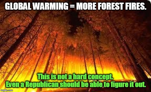 More frequent fires, more violent. If you're GOP, read this very slowly. Say the words out loud if you need to. We'll wait. | image tagged in forest fire,global warming,climate change,republican,california | made w/ Imgflip meme maker