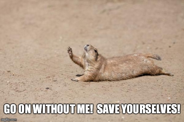 Gopher? | GO ON WITHOUT ME!  SAVE YOURSELVES! | image tagged in gopher | made w/ Imgflip meme maker