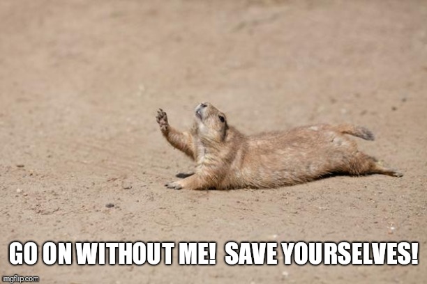 Gopher Imgflip