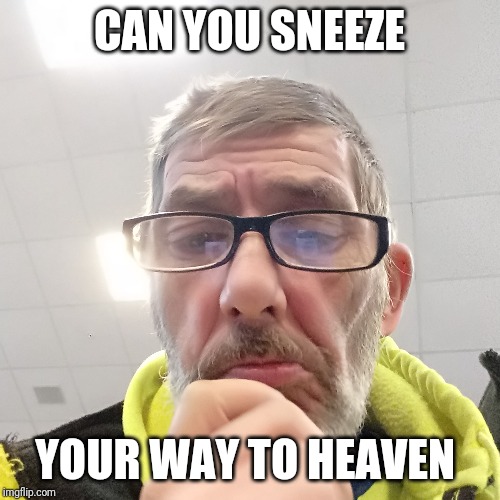 Pondering Bert | CAN YOU SNEEZE; YOUR WAY TO HEAVEN | image tagged in pondering bert | made w/ Imgflip meme maker