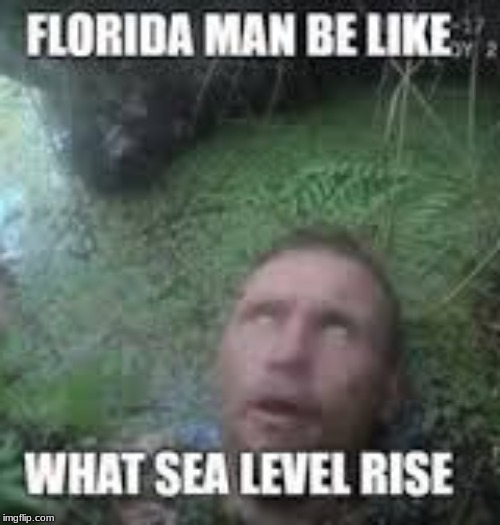 Florida man be like | image tagged in florida man | made w/ Imgflip meme maker