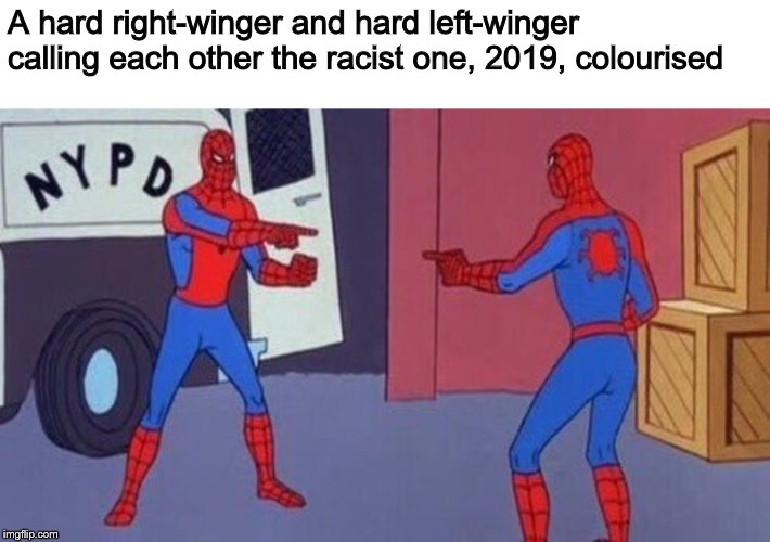 Let's see if I can get everyone to hate me | A hard right-winger and hard left-winger calling each other the racist one, 2019, colourised | image tagged in spiderman pointing at spiderman,memes,right,left,politics | made w/ Imgflip meme maker