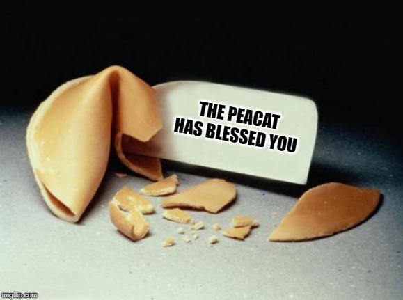 THE PEACAT HAS BLESSED YOU | image tagged in fortune cookie | made w/ Imgflip meme maker