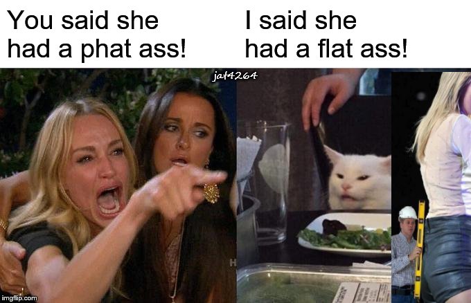 Phat ass | You said she had a phat ass! I said she had a flat ass! jat4264 | image tagged in memes,woman yelling at cat,phat ass,fat ass,flat ass | made w/ Imgflip meme maker
