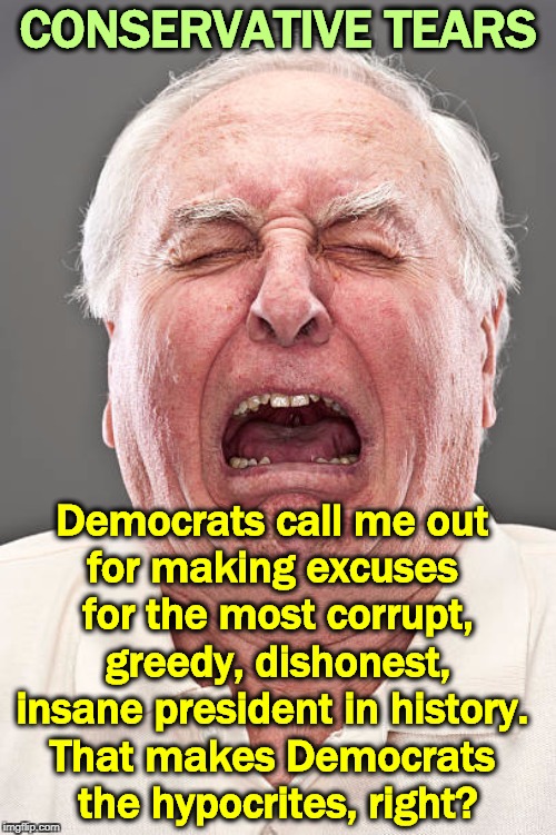 Conservative tears | CONSERVATIVE TEARS; Democrats call me out 
for making excuses 
for the most corrupt, greedy, dishonest, insane president in history. 
That makes Democrats 
the hypocrites, right? | image tagged in conservative tears,corrupt,greedy,dishonest,insane,hypocrite | made w/ Imgflip meme maker