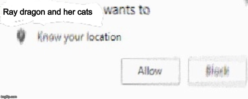 X wants to know your location | Ray dragon and her cats | image tagged in x wants to know your location | made w/ Imgflip meme maker