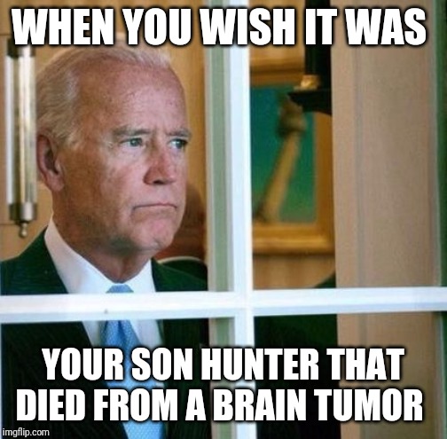 Sad Joe Biden | WHEN YOU WISH IT WAS; YOUR SON HUNTER THAT DIED FROM A BRAIN TUMOR | image tagged in sad joe biden | made w/ Imgflip meme maker