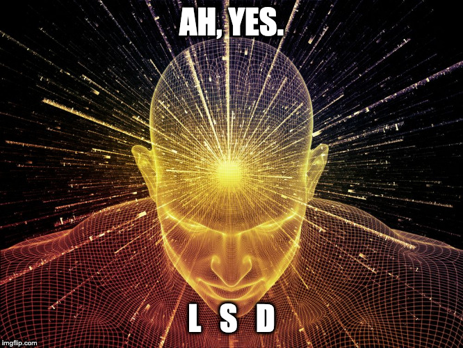AH, YES. L   S   D | image tagged in your brain on lsd | made w/ Imgflip meme maker