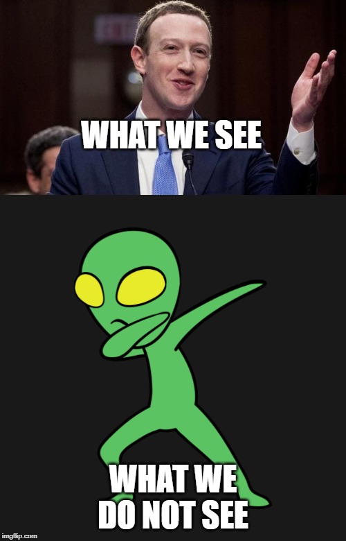 I MarkZuckerburg an Alien | WHAT WE SEE; WHAT WE DO NOT SEE | image tagged in mark zuckerburg | made w/ Imgflip meme maker
