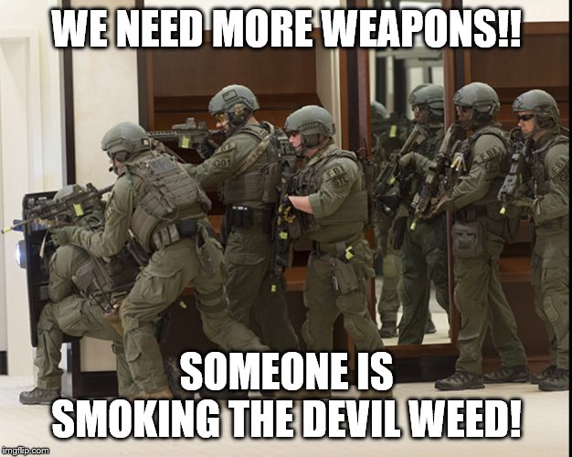 FBI SWAT | WE NEED MORE WEAPONS!! SOMEONE IS SMOKING THE DEVIL WEED! | image tagged in fbi swat | made w/ Imgflip meme maker