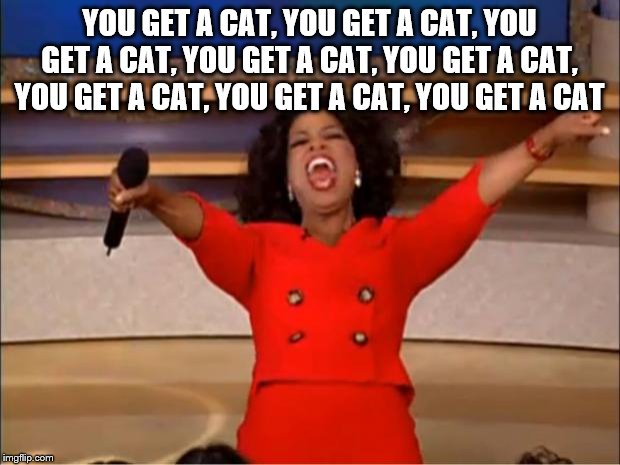 Oprah You Get A | YOU GET A CAT, YOU GET A CAT, YOU GET A CAT, YOU GET A CAT, YOU GET A CAT, YOU GET A CAT, YOU GET A CAT, YOU GET A CAT | image tagged in memes,oprah you get a | made w/ Imgflip meme maker