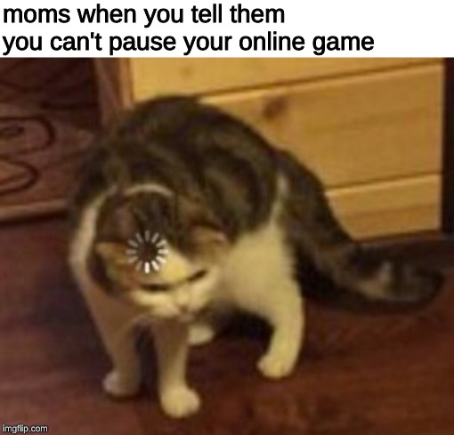 Cat loading | moms when you tell them you can't pause your online game | image tagged in cat loading,memes,cringe,mom,moms,karen | made w/ Imgflip meme maker