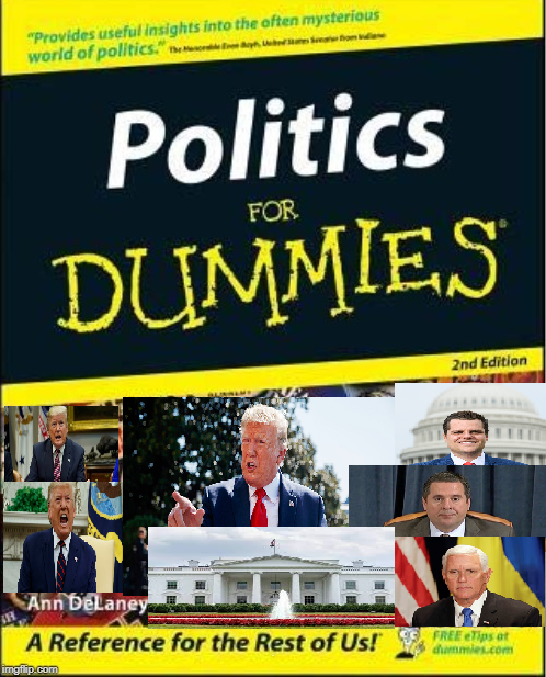 High Quality Politics for Dummies: Republican Edition Blank Meme Template