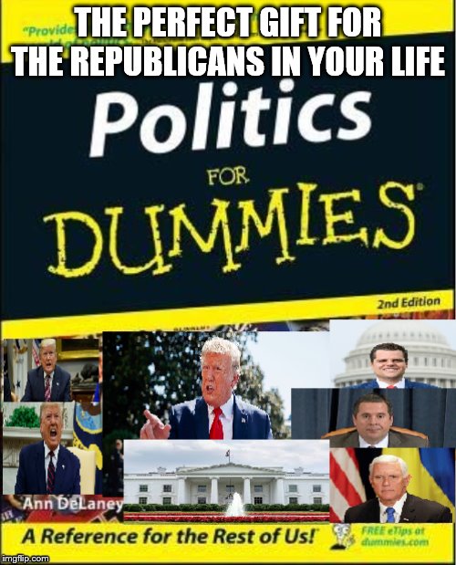Politics for Dummies: Republican Edition | THE PERFECT GIFT FOR THE REPUBLICANS IN YOUR LIFE | image tagged in politics for dummies republican edition | made w/ Imgflip meme maker