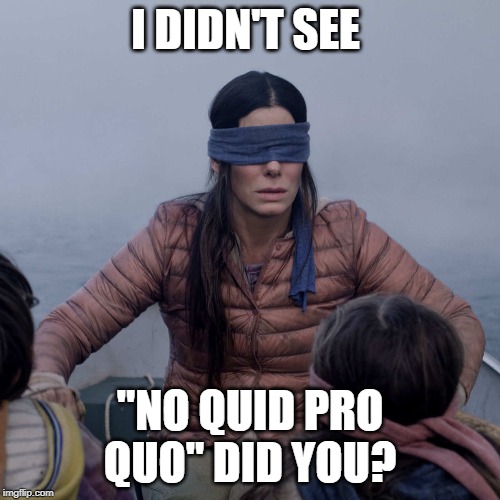 Bird Box | I DIDN'T SEE; "NO QUID PRO QUO" DID YOU? | image tagged in memes,bird box | made w/ Imgflip meme maker