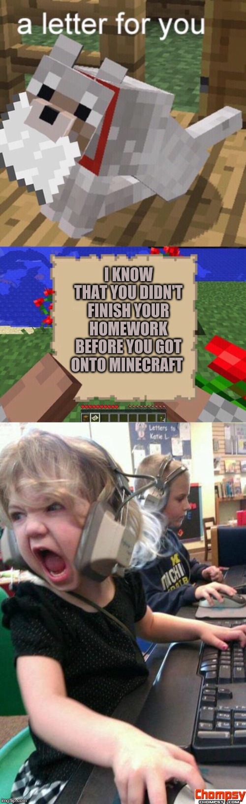 Moms be like | I KNOW THAT YOU DIDN'T FINISH YOUR HOMEWORK BEFORE YOU GOT ONTO MINECRAFT | image tagged in screaming gamer girl,minecraft mail,homework | made w/ Imgflip meme maker