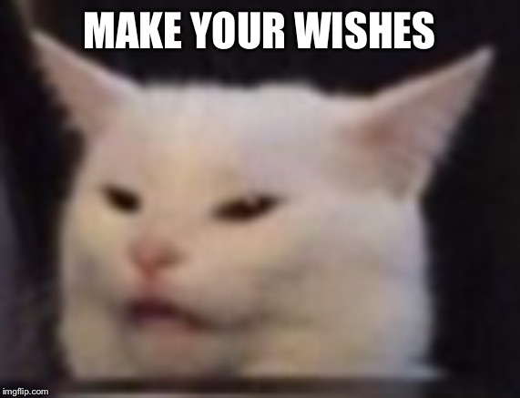 Cat | MAKE YOUR WISHES | image tagged in cat | made w/ Imgflip meme maker