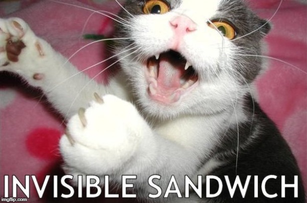 invisible sandwich | image tagged in cat,sandwich,invisibility | made w/ Imgflip meme maker