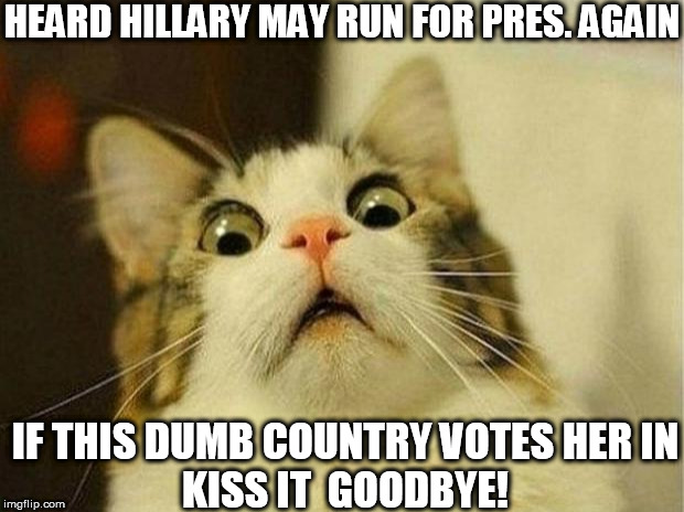 HILLDABEAST for PRES.Just the thought is TERRIFYING! | HEARD HILLARY MAY RUN FOR PRES. AGAIN; IF THIS DUMB COUNTRY VOTES HER IN


KISS IT  GOODBYE! | image tagged in memes,scared cat,hillary clinton,president,scary af | made w/ Imgflip meme maker