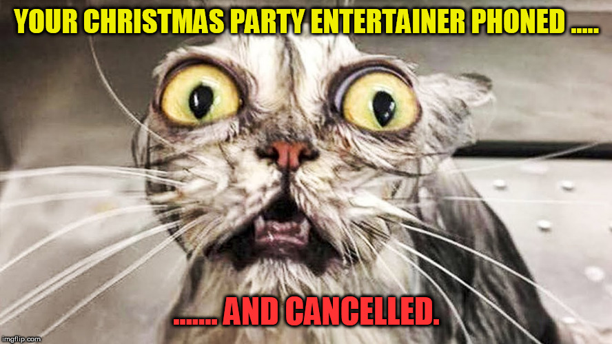 Horrified Feline | YOUR CHRISTMAS PARTY ENTERTAINER PHONED ..... ....... AND CANCELLED. | image tagged in horrified feline | made w/ Imgflip meme maker