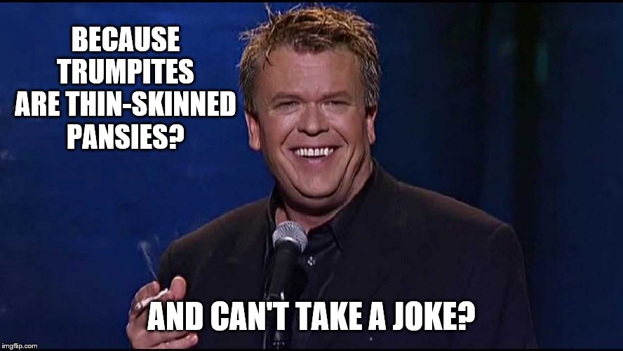 Ron White | BECAUSE TRUMPITES ARE THIN-SKINNED PANSIES? AND CAN'T TAKE A JOKE? | image tagged in ron white | made w/ Imgflip meme maker