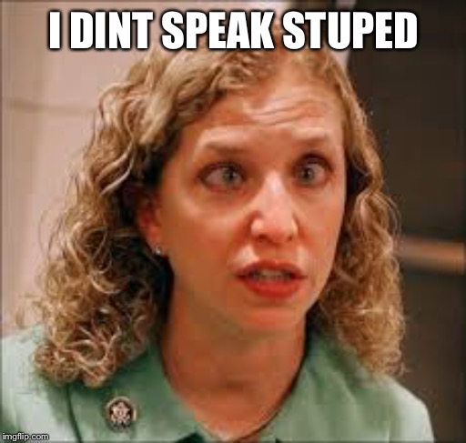 Debbie The Cheat | I DINT SPEAK STUPED | image tagged in debbie the cheat | made w/ Imgflip meme maker