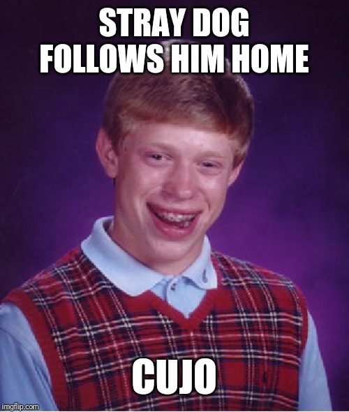 Bad Luck Brian Meme | STRAY DOG FOLLOWS HIM HOME; CUJO | image tagged in memes,bad luck brian | made w/ Imgflip meme maker