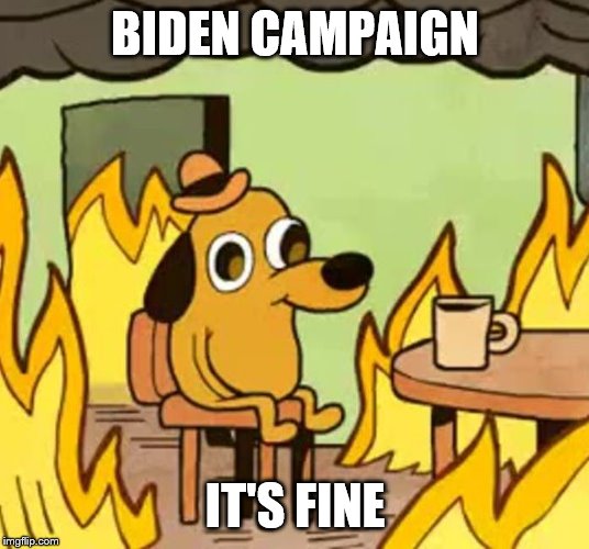 Its fine | BIDEN CAMPAIGN IT'S FINE | image tagged in its fine | made w/ Imgflip meme maker