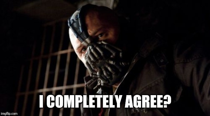Permission Bane Meme | I COMPLETELY AGREE? | image tagged in memes,permission bane | made w/ Imgflip meme maker