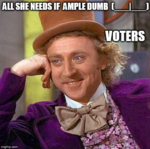 Creepy Condescending Wonka Meme | ALL SHE NEEDS IF  AMPLE DUMB  (___|___) VOTERS | image tagged in memes,creepy condescending wonka | made w/ Imgflip meme maker